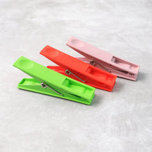 Durable Cloth Clips Set of 12 – Strong Grip Plastic Laundry Pegs with Stainless Steel Spring